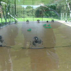 DSC03090