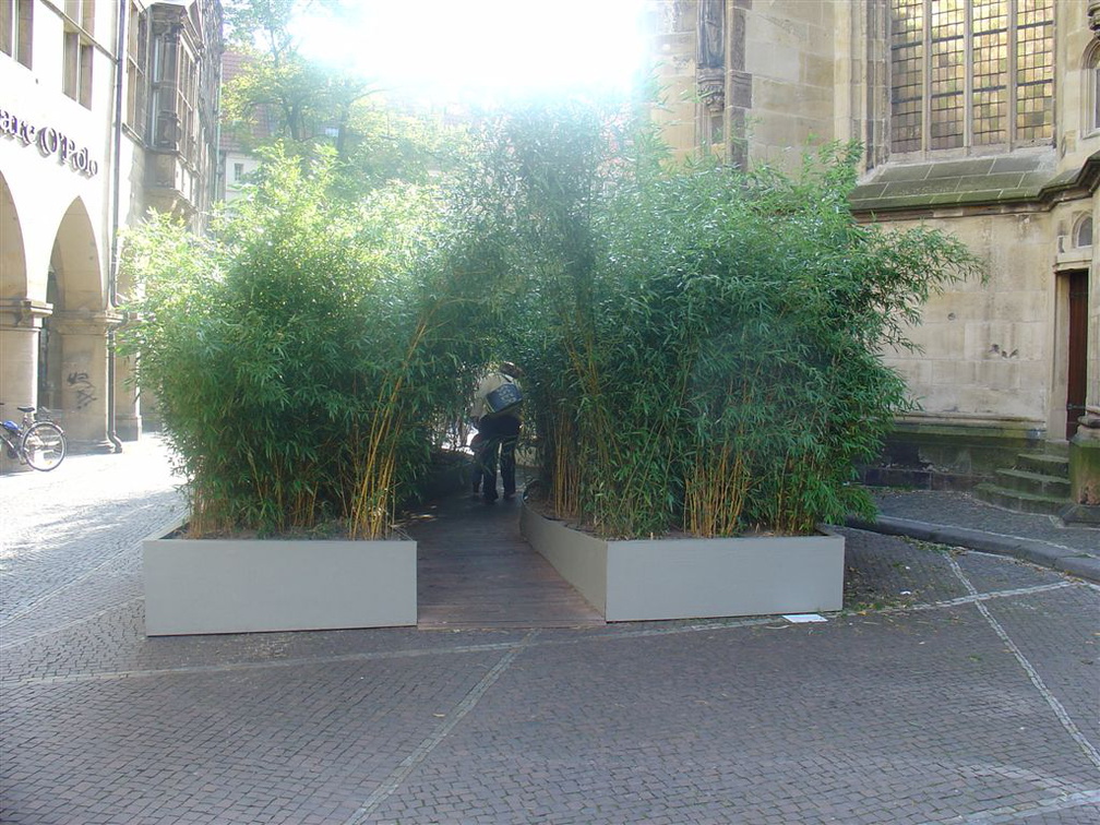 DSC03193