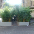 DSC03193