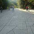 DSC03199