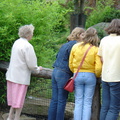 DSC00337