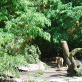 DSC00386