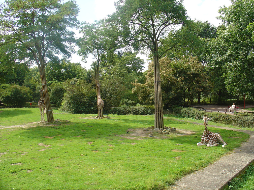 DSC05236