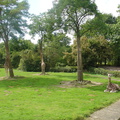 DSC05236