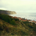 york11