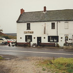 york77