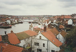 york82