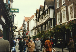 york36