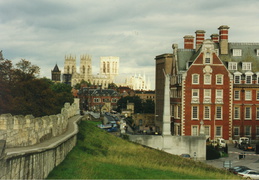 york43