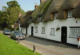 Thatched Houses