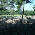 DSC00011