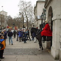 Horse Guards