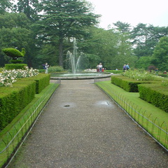 DSC00037