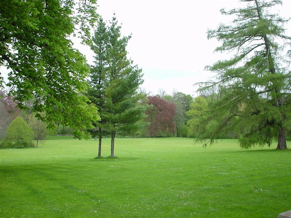 DSC00030