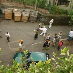 DSC00113