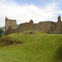 DSC00804