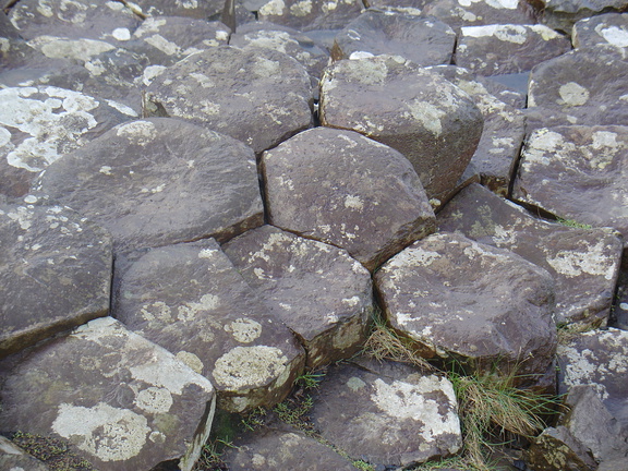 DSC04606