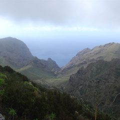DSC03709