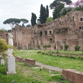 DSC00569