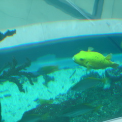 DSC00043