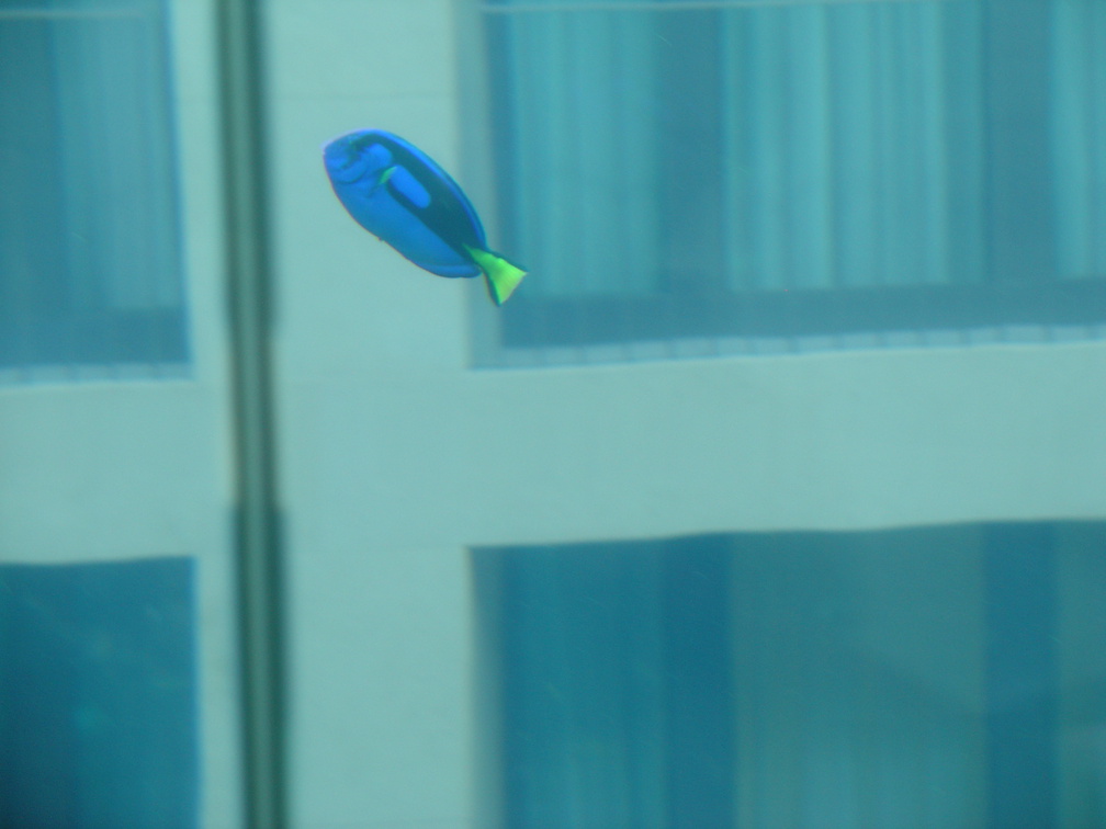 DSC00046