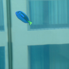 DSC00046