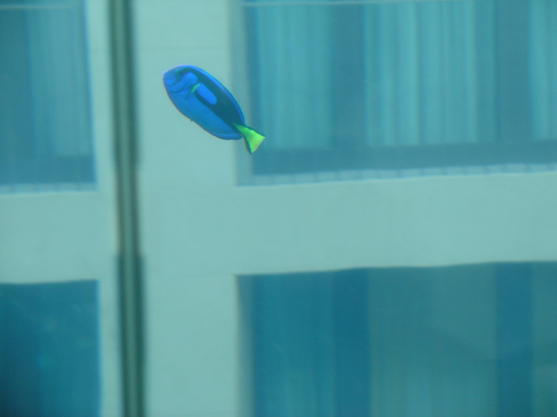 DSC00046