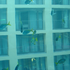 DSC00049