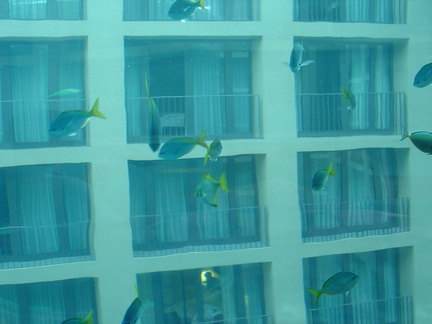 DSC00049