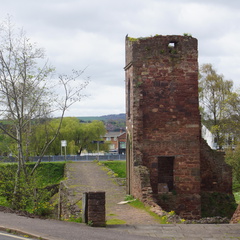 DSC00475