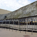DSC01652