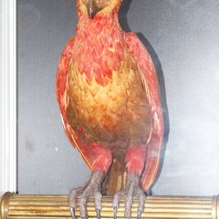 DSC01679