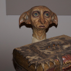 DSC01681