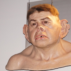 DSC01682