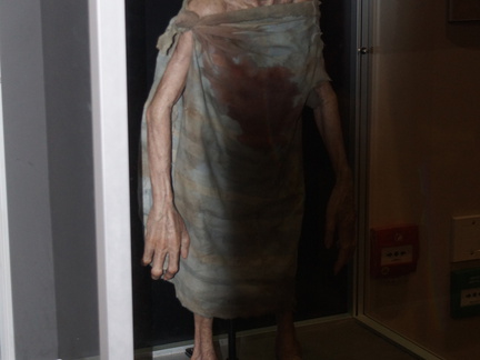 DSC01684