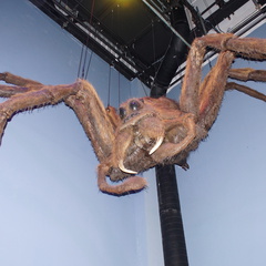 DSC01686