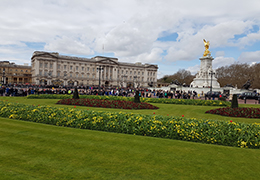 Buckingham Palace, Westminster Cathedral