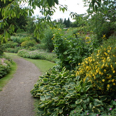 DSC02979