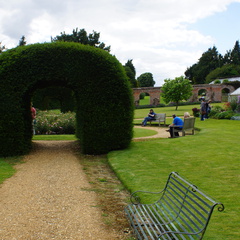 DSC02981