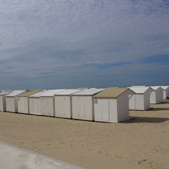DSC05110