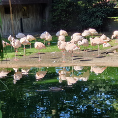 2019-08-31 10.51.14 - Kopie