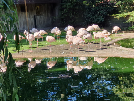 2019-08-31 10.51.14 - Kopie