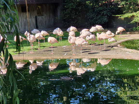 2019-08-31 10.51.14 - Kopie