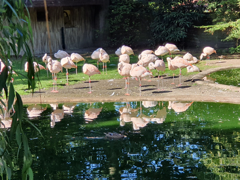 2019-08-31 10.51.14 - Kopie