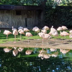 2019-08-31 10.51.25 - Kopie