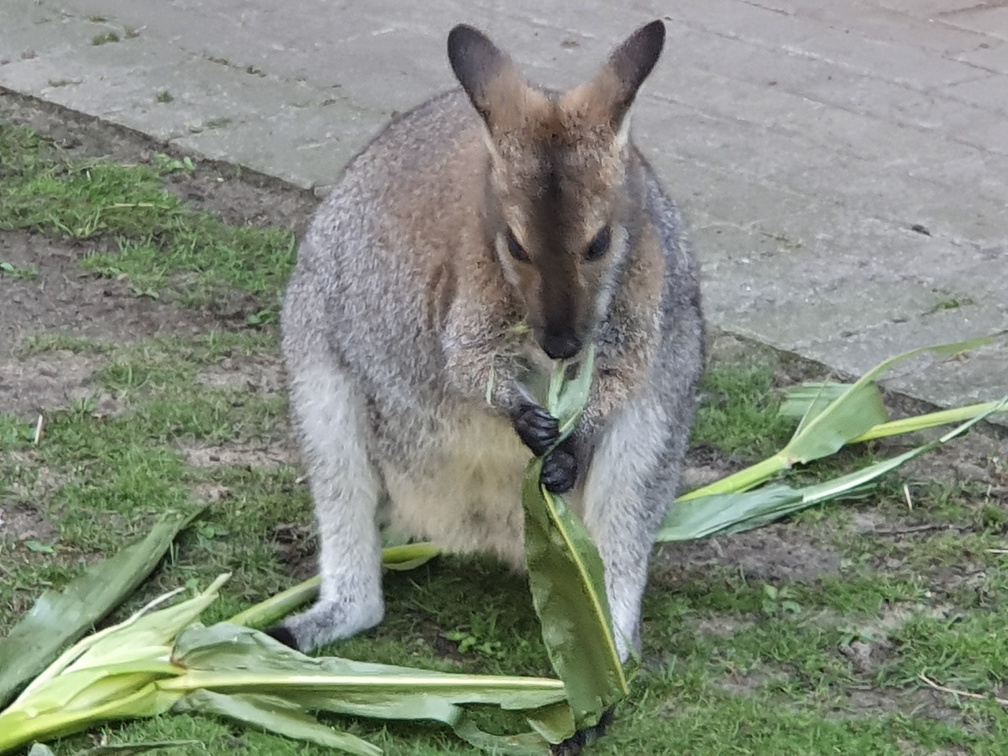 2019-08-31 10.53.58 - Kopie