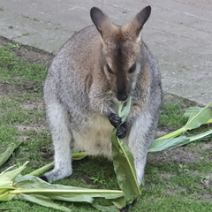 2019-08-31 10.53.58 - Kopie