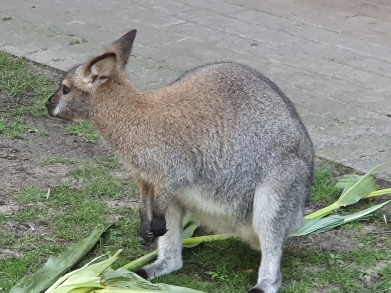 2019-08-31 10.54.02 - Kopie