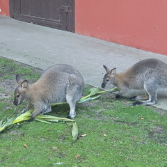 2019-08-31 10.54.14 - Kopie