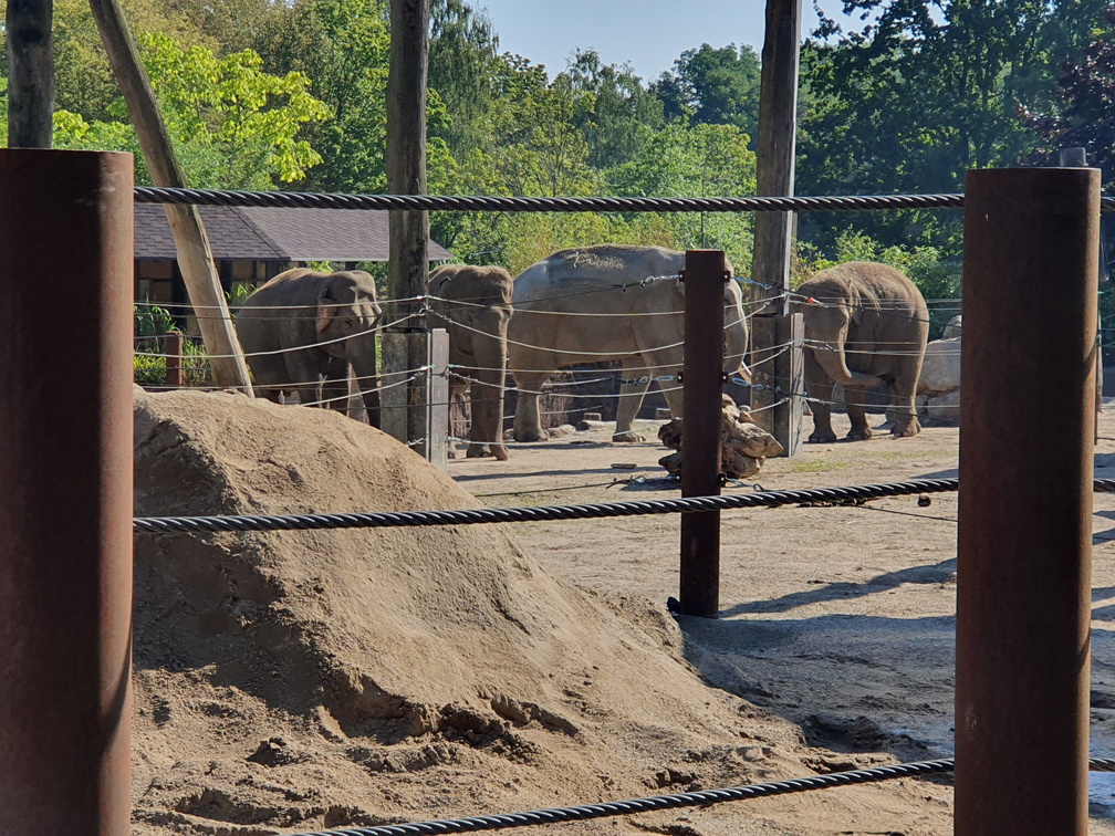 2019-08-31 10.59.12 - Kopie